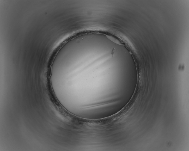 X0000091850436200710031644