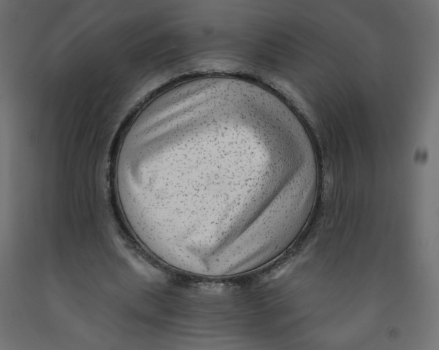 X0000091850439200710031644