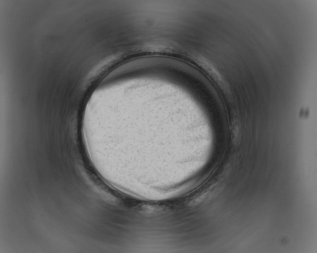 X0000091850442200710031644