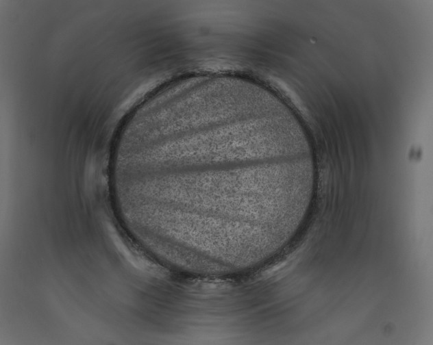 X0000091850443200710031644