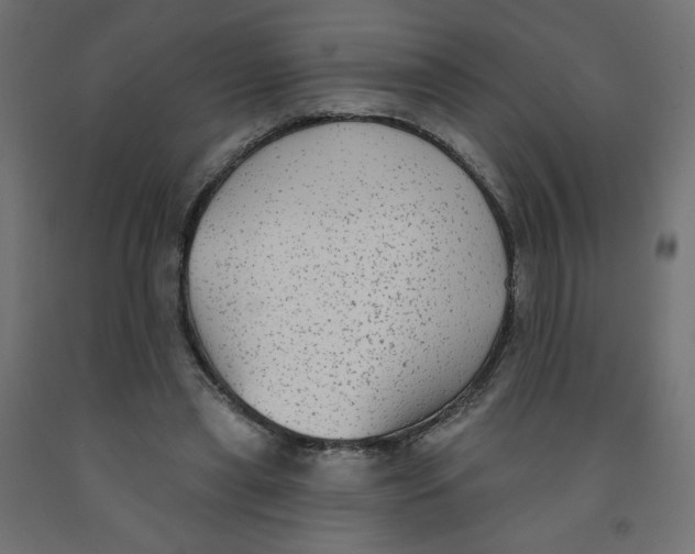 X0000091850445200710031644