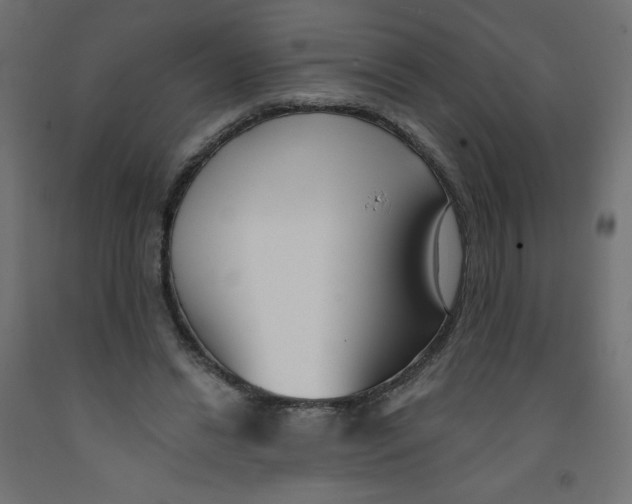X0000091850446200710031644
