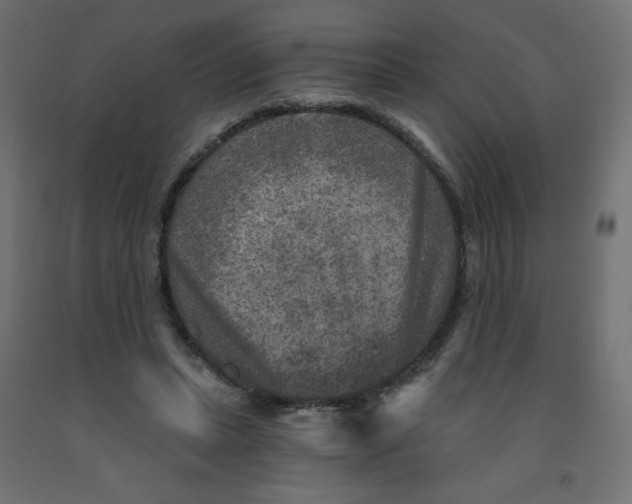 X0000091850447200710031644