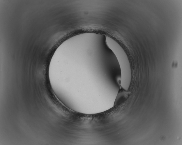 X0000091850448200710031644