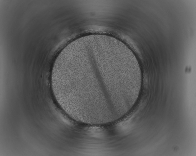 X0000091850449200710031644