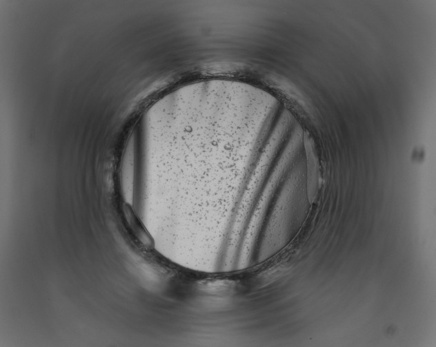X0000091850452200710031644