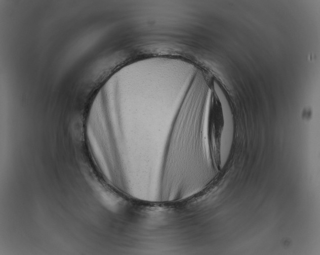 X0000091850453200710031644