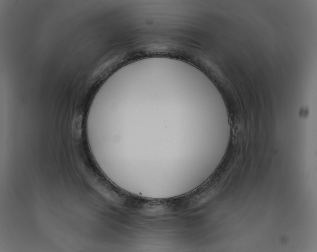 X0000091850454200710031644