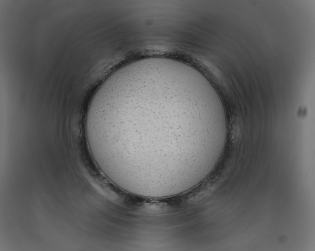 X0000091850455200710031644