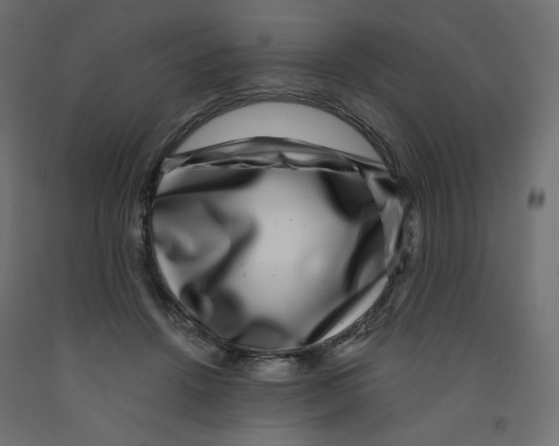 X0000091850456200710031644