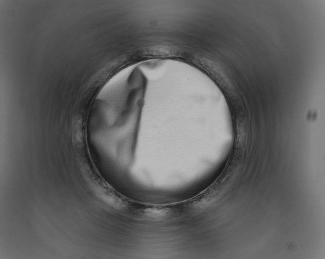 X0000091850457200710031644