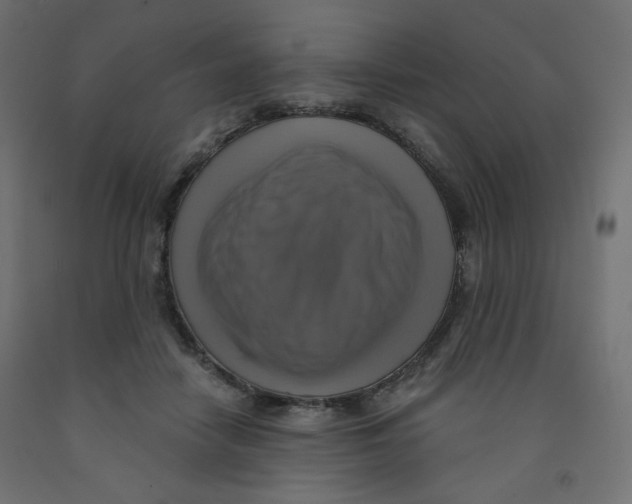 X0000091850458200710031644