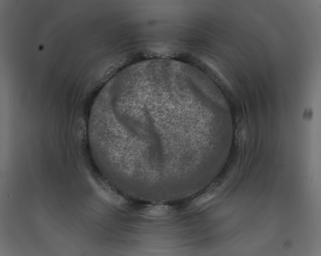 X0000091850459200710031644