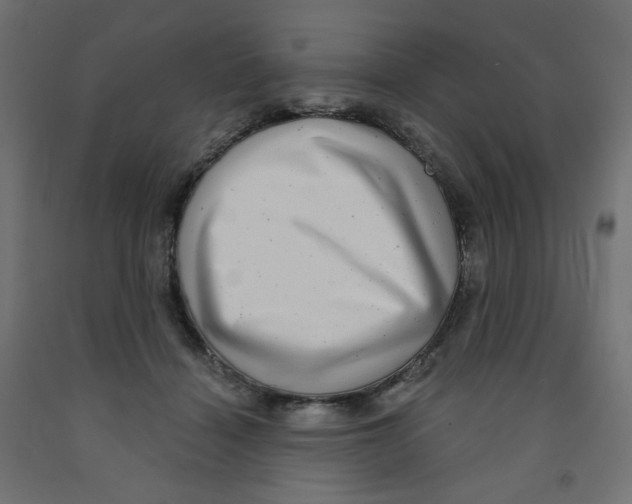 X0000091850460200710031644