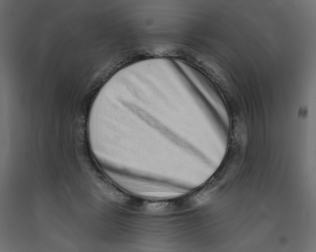 X0000091850461200710031644