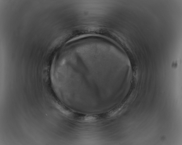 X0000091850462200710031644