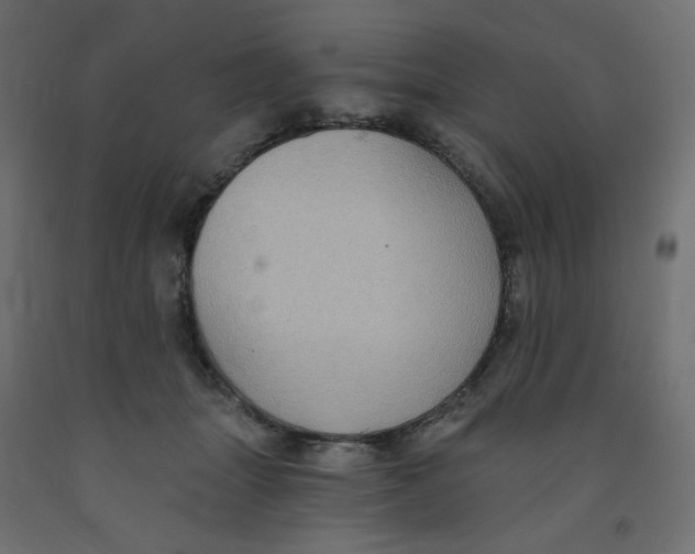 X0000091850463200710031644