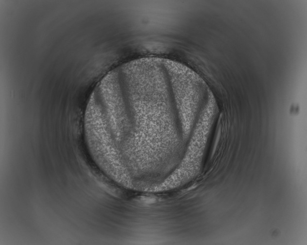 X0000091850464200710031645