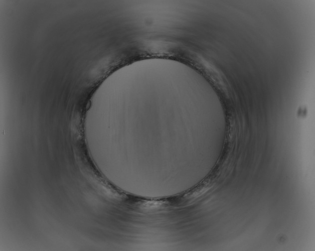 X0000091850465200710031645