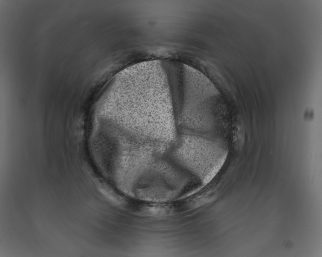 X0000091850466200710031645