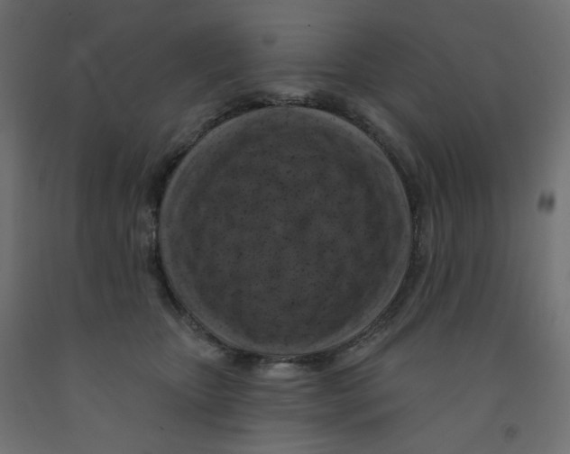 X0000091850467200710031645