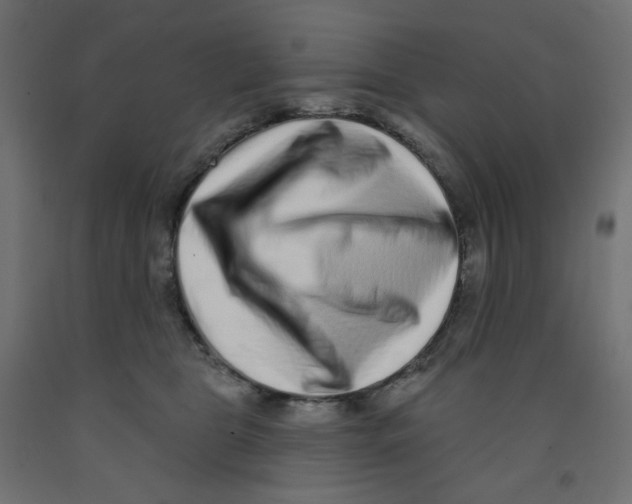 X0000091850469200710031645