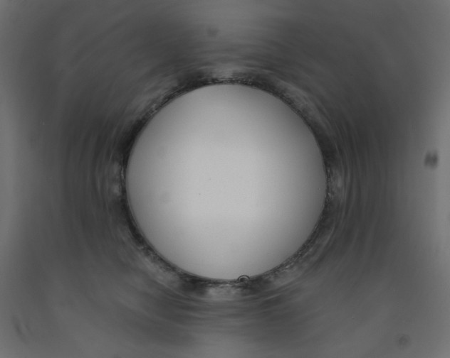 X0000091850470200710031645