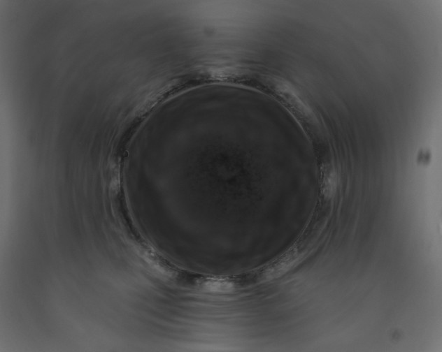 X0000091850471200710031645