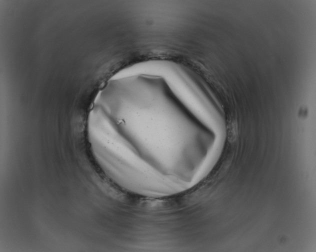 X0000091850472200710031645
