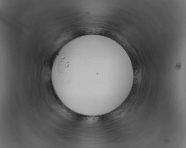 X0000091850474200710031645