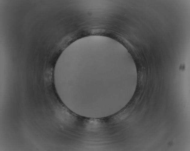 X0000091850475200710031645