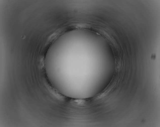 X0000091850478200710031645