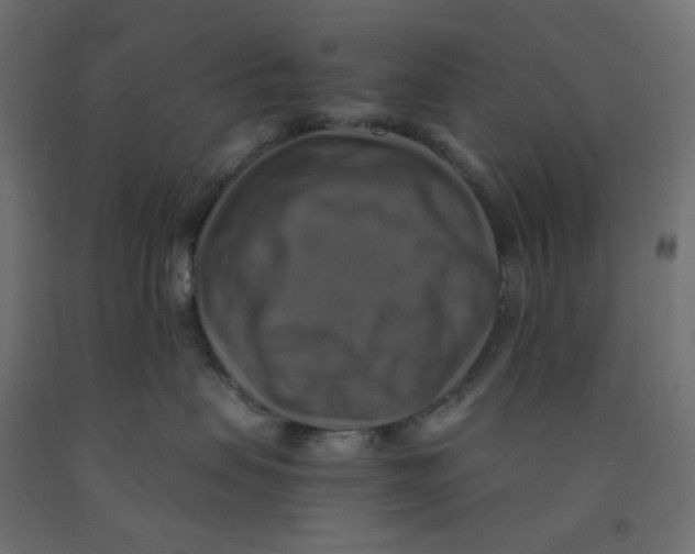 X0000091850479200710031645