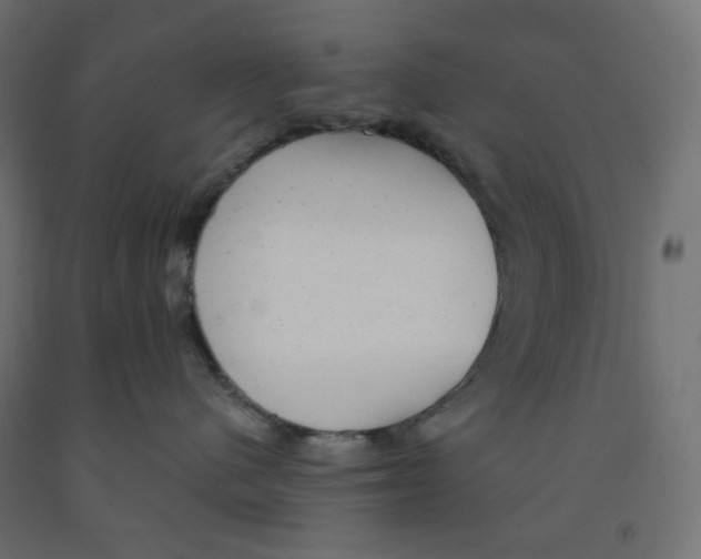 X0000091850480200710031645