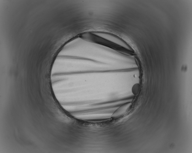 X0000091850481200710031644