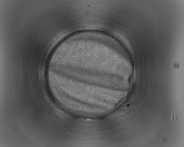 X0000091850483200710031644