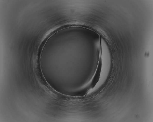 X0000091850484200710031644