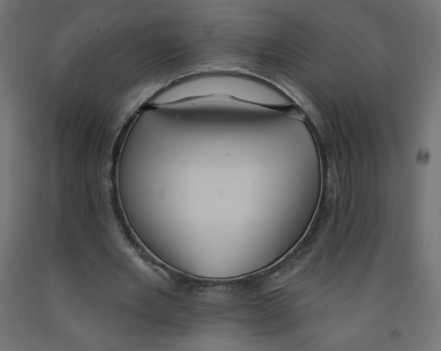 X0000091850485200710031644