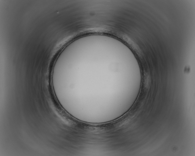 X0000091850486200710031644