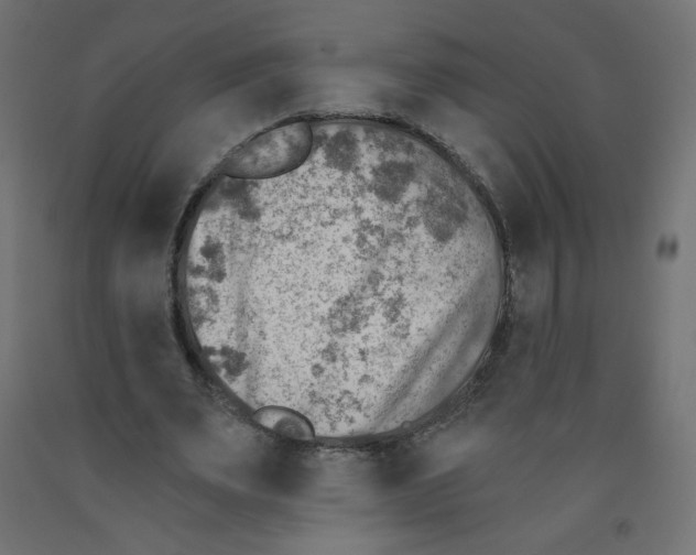 X0000091850487200710031644