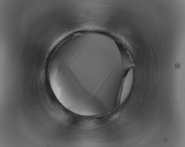 X0000091850488200710031644