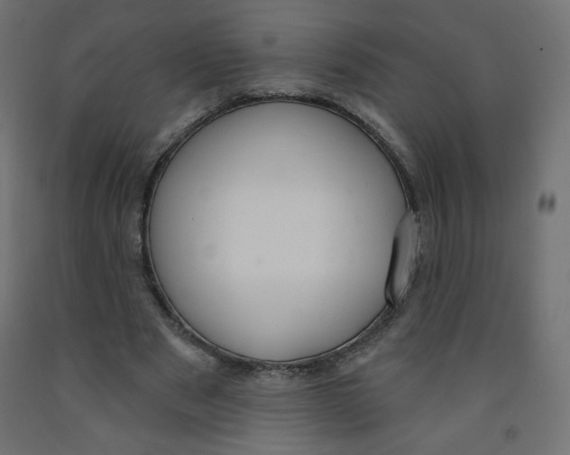 X0000091850489200710031644