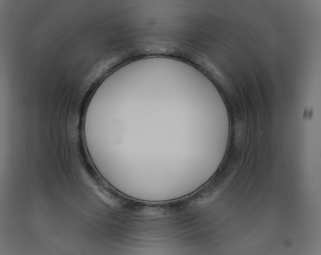 X0000091850490200710031644