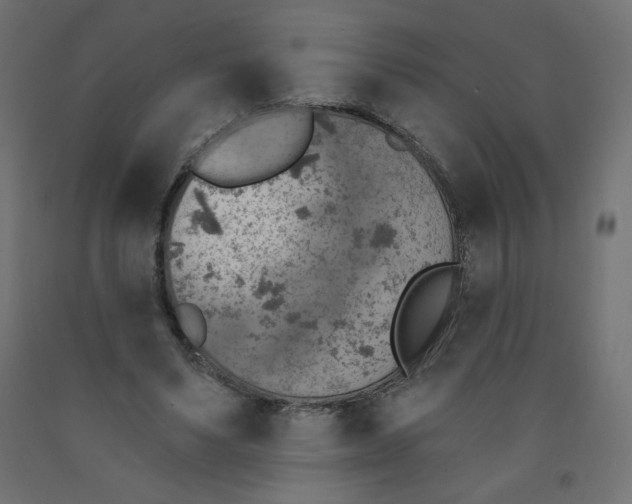 X0000091850491200710031644