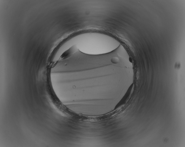 X0000091850492200710031644