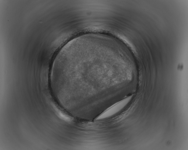 X0000091850493200710031644