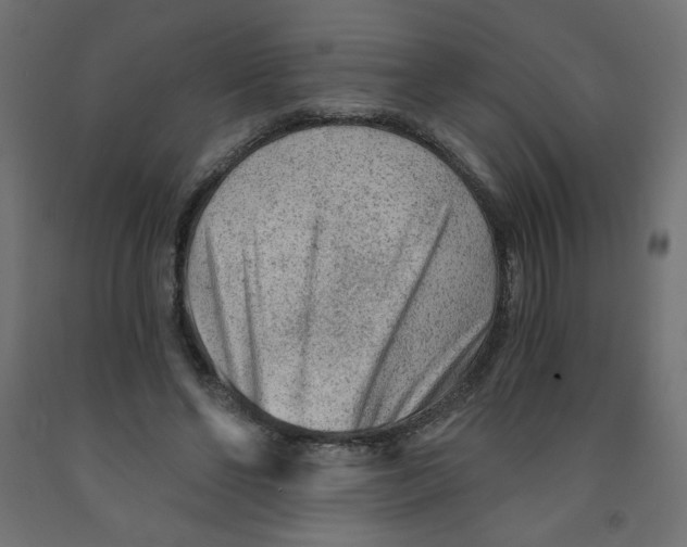 X0000091850494200710031644