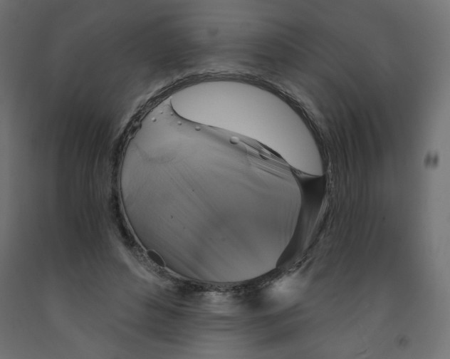 X0000091850496200710031644