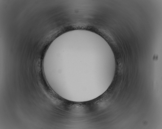 X0000091850498200710031644