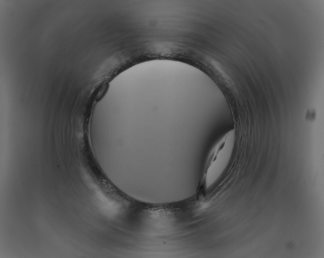 X0000091850500200710031644